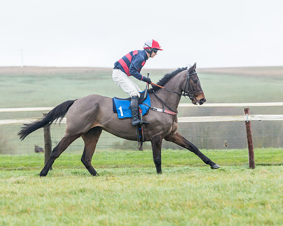 Race 5 - Jockey Club and ROR veteran Horse conditions Race. Division 1 - (2 of 171)