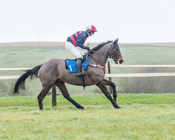 Race 5 - Jockey Club and ROR veteran Horse conditions Race. Division 1 - (1 of 171)