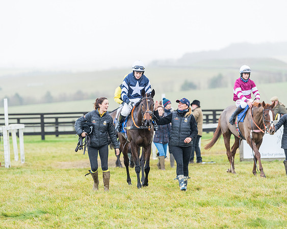 Race 4 - Jockey Club Maiden for Mares and Fillies.- (90 of 116)