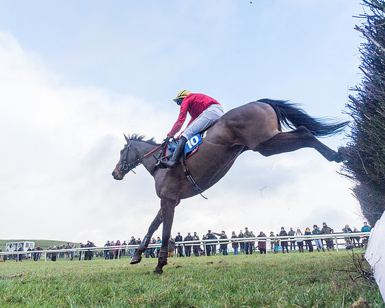 Race 4 - Jockey Club Maiden for Mares and Fillies.- (86 of 116)
