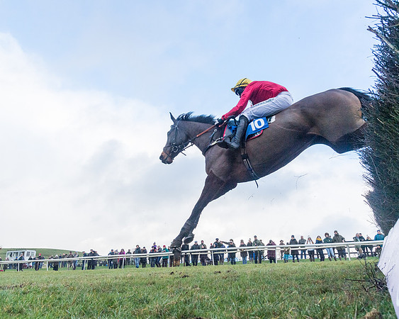 Race 4 - Jockey Club Maiden for Mares and Fillies.- (85 of 116)