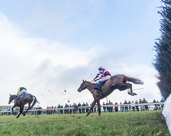 Race 4 - Jockey Club Maiden for Mares and Fillies.- (83 of 116)