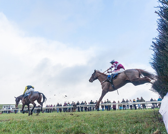 Race 4 - Jockey Club Maiden for Mares and Fillies.- (82 of 116)