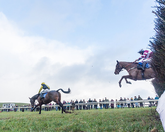Race 4 - Jockey Club Maiden for Mares and Fillies.- (80 of 116)