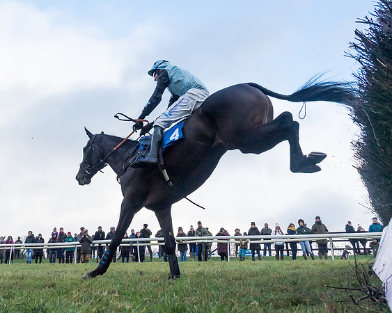 Race 4 - Jockey Club Maiden for Mares and Fillies.- (66 of 116)