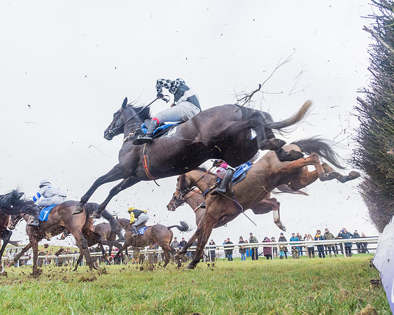 Race 4 - Jockey Club Maiden for Mares and Fillies.- (55 of 116)