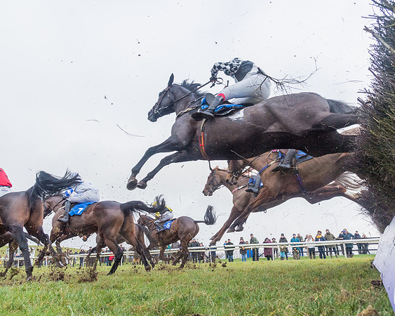 Race 4 - Jockey Club Maiden for Mares and Fillies.- (54 of 116)