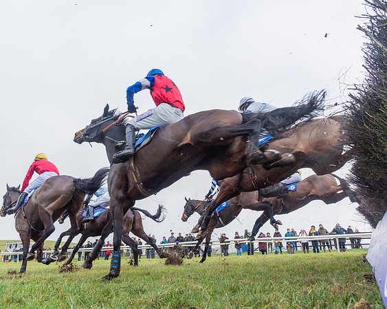 Race 4 - Jockey Club Maiden for Mares and Fillies.- (53 of 116)