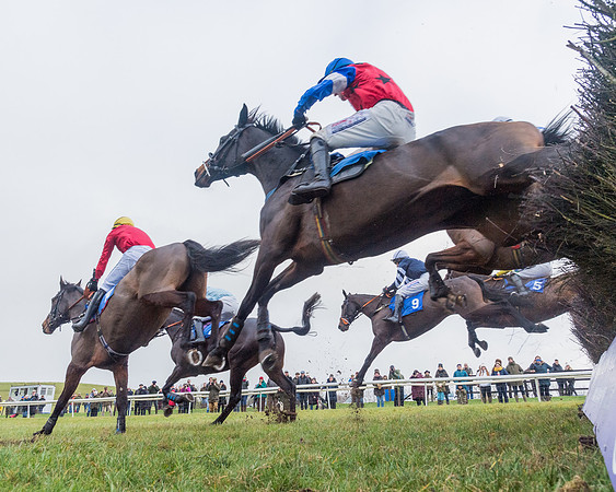 Race 4 - Jockey Club Maiden for Mares and Fillies.- (52 of 116)