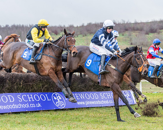 Race 4 - Jockey Club Maiden for Mares and Fillies.- (48 of 116)
