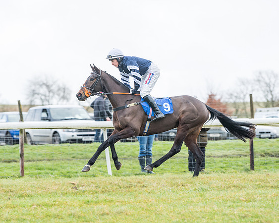 Race 4 - Jockey Club Maiden for Mares and Fillies.- (31 of 116)