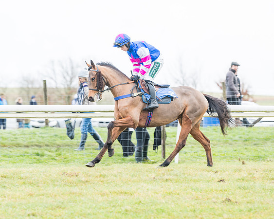 Race 4 - Jockey Club Maiden for Mares and Fillies.- (20 of 116)