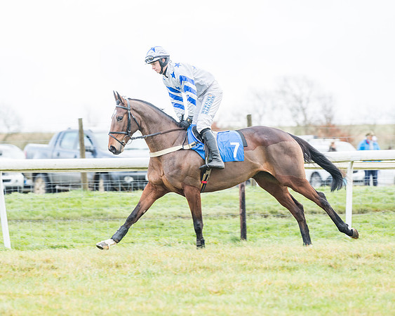Race 4 - Jockey Club Maiden for Mares and Fillies.- (19 of 116)