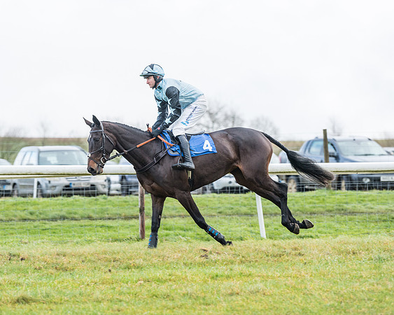 Race 4 - Jockey Club Maiden for Mares and Fillies.- (14 of 116)