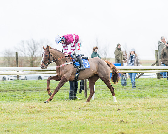 Race 4 - Jockey Club Maiden for Mares and Fillies.- (11 of 116)