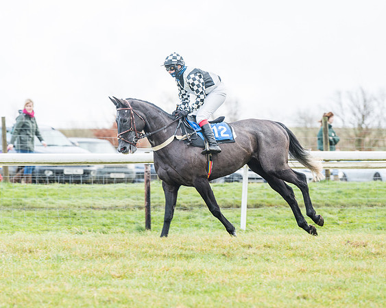 Race 4 - Jockey Club Maiden for Mares and Fillies.- (6 of 116)