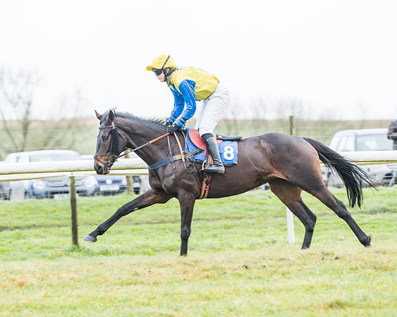 Race 4 - Jockey Club Maiden for Mares and Fillies.- (2 of 116)