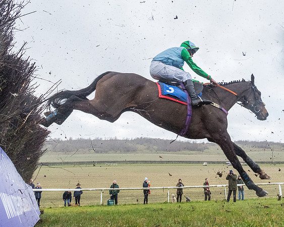 Race 3-  ITM Four and Five Year Olds open Maiden.- (82 of 134)