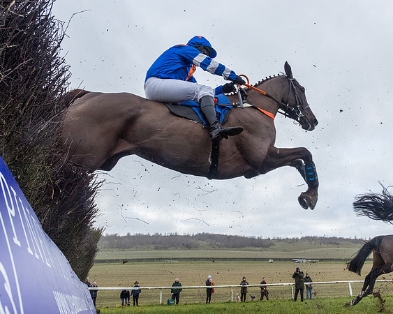 Race 3-  ITM Four and Five Year Olds open Maiden.- (74 of 134)