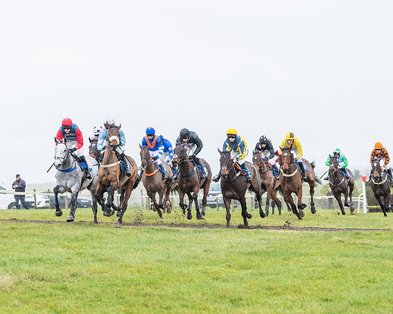Race 3-  ITM Four and Five Year Olds open Maiden.- (52 of 134)