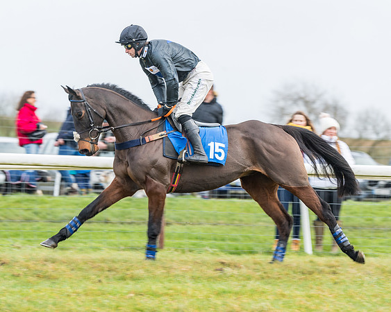 Race 3-  ITM Four and Five Year Olds open Maiden.- (43 of 134)