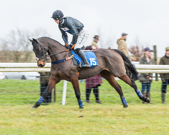 Race 3-  ITM Four and Five Year Olds open Maiden.- (41 of 134)