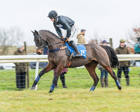 Race 3-  ITM Four and Five Year Olds open Maiden.- (40 of 134)