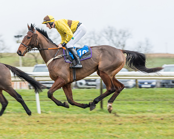 Race 3-  ITM Four and Five Year Olds open Maiden.- (37 of 134)