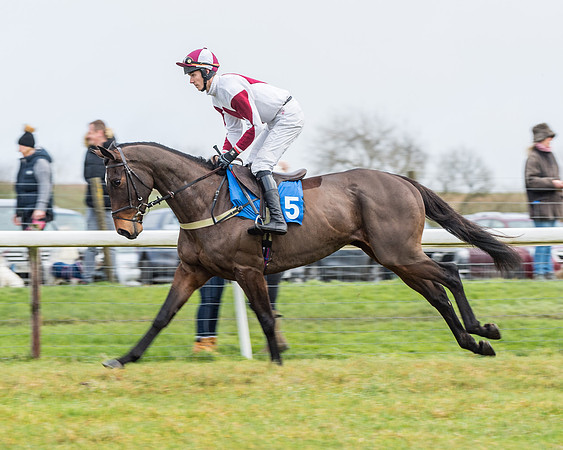 Race 3-  ITM Four and Five Year Olds open Maiden.- (36 of 134)