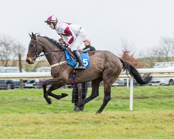 Race 3-  ITM Four and Five Year Olds open Maiden.- (35 of 134)