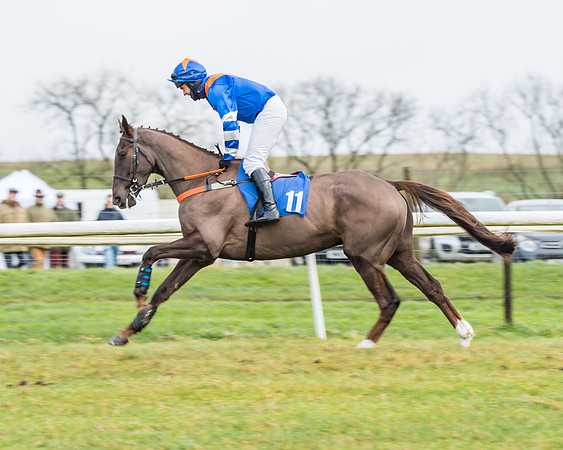 Race 3-  ITM Four and Five Year Olds open Maiden.- (33 of 134)