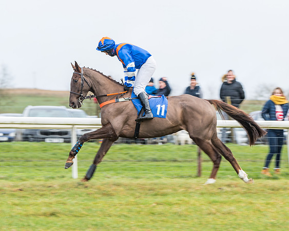 Race 3-  ITM Four and Five Year Olds open Maiden.- (32 of 134)