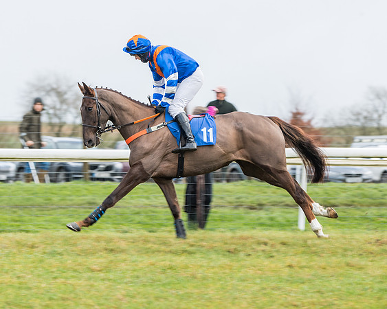 Race 3-  ITM Four and Five Year Olds open Maiden.- (31 of 134)