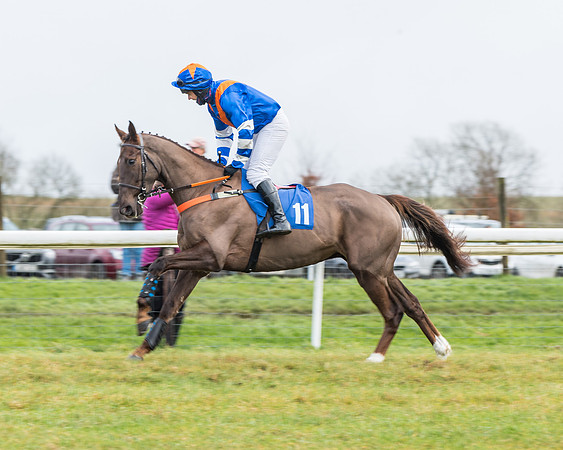 Race 3-  ITM Four and Five Year Olds open Maiden.- (30 of 134)