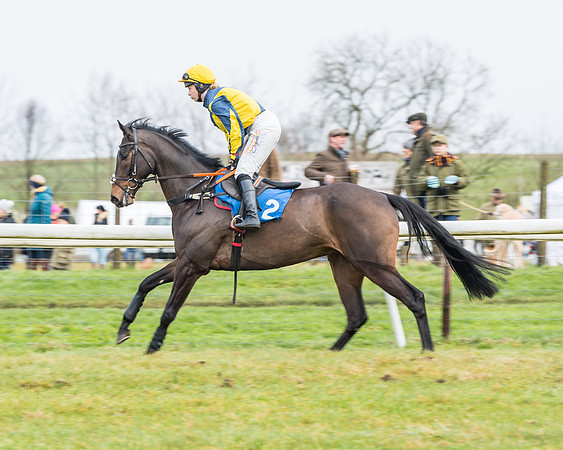 Race 3-  ITM Four and Five Year Olds open Maiden.- (29 of 134)