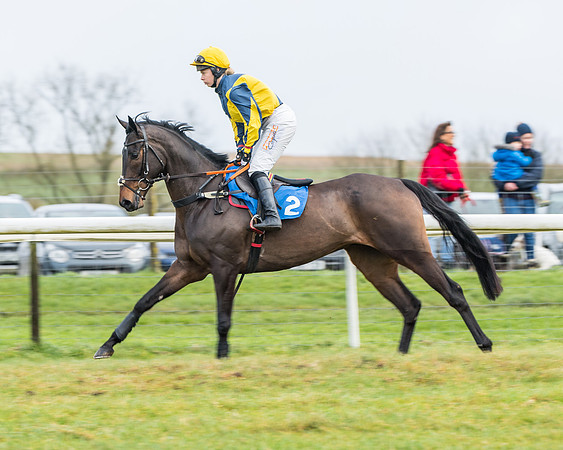Race 3-  ITM Four and Five Year Olds open Maiden.- (28 of 134)