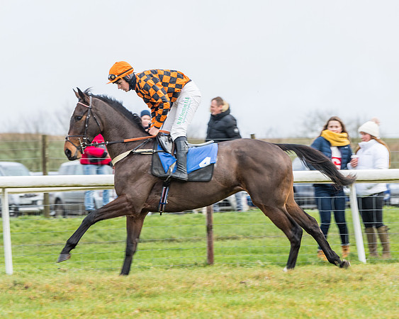 Race 3-  ITM Four and Five Year Olds open Maiden.- (21 of 134)
