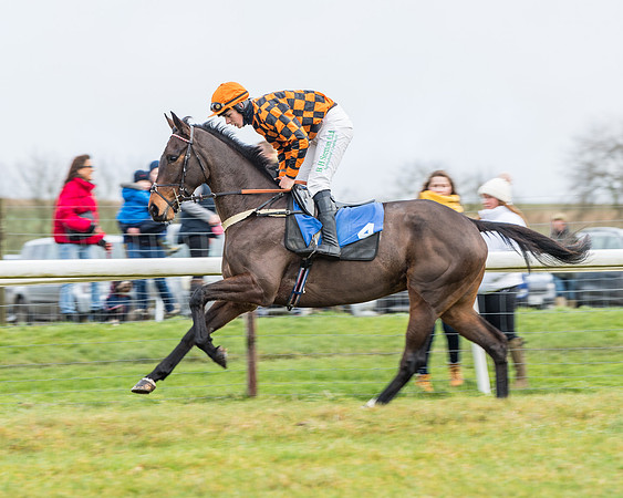 Race 3-  ITM Four and Five Year Olds open Maiden.- (20 of 134)