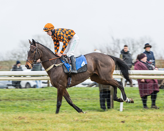 Race 3-  ITM Four and Five Year Olds open Maiden.- (19 of 134)