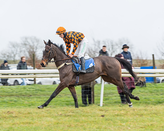 Race 3-  ITM Four and Five Year Olds open Maiden.- (18 of 134)