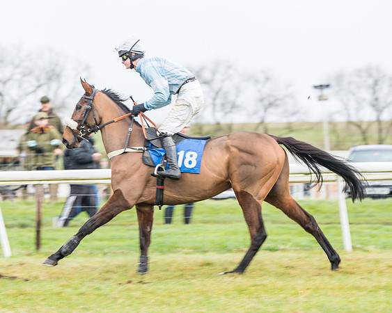 Race 3-  ITM Four and Five Year Olds open Maiden.- (17 of 134)