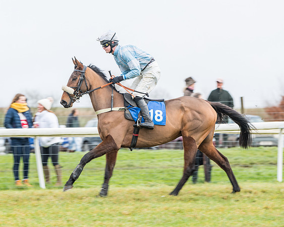 Race 3-  ITM Four and Five Year Olds open Maiden.- (15 of 134)