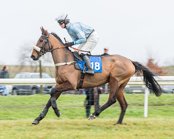 Race 3-  ITM Four and Five Year Olds open Maiden.- (14 of 134)