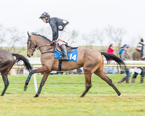 Race 3-  ITM Four and Five Year Olds open Maiden.- (13 of 134)