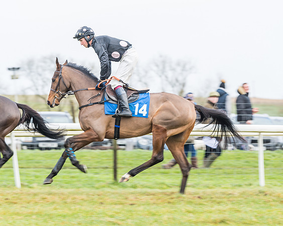 Race 3-  ITM Four and Five Year Olds open Maiden.- (12 of 134)