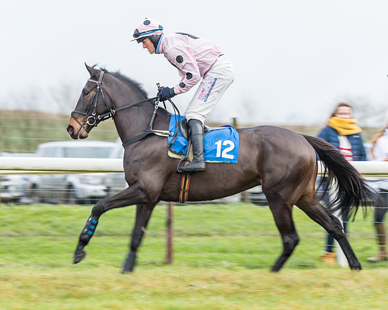 Race 3-  ITM Four and Five Year Olds open Maiden.- (10 of 134)