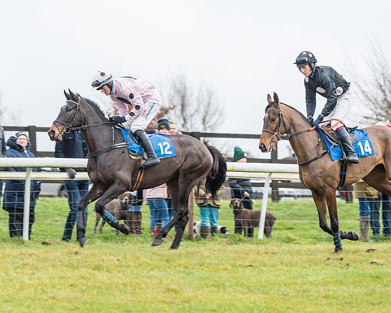 Race 3-  ITM Four and Five Year Olds open Maiden.- (8 of 134)