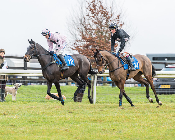Race 3-  ITM Four and Five Year Olds open Maiden.- (7 of 134)