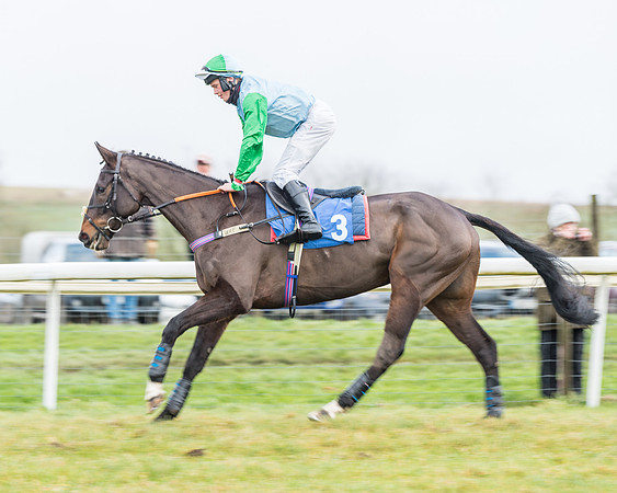 Race 3-  ITM Four and Five Year Olds open Maiden.- (6 of 134)