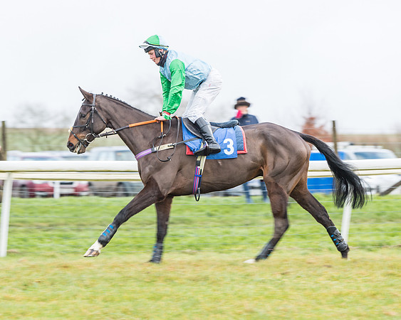 Race 3-  ITM Four and Five Year Olds open Maiden.- (5 of 134)